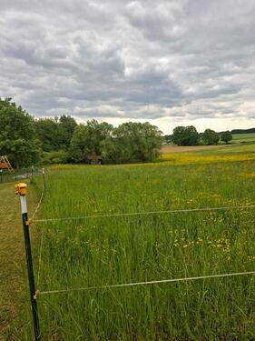 Foto - baugrundstück in ruhiger sonniger Ortsrandlage nahe landshut