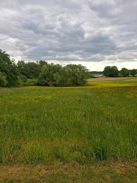 Foto - Grundst&uuml;ck zur Miete in Bruckberg