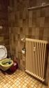 Foto - Etagenwohnung in St. Blasien zur Miete