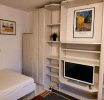 Helles möbliertes 1-Zimmer Apertment mit EBK - Wiesbaden Schierstein