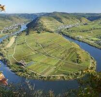Ferienhaus Ferienwohnung Moselblick Mosel Cochem Zell 2 - Peterswald-Löffelscheid