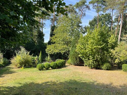 Foto - 3 Zimmer Bungalow in Großenkneten