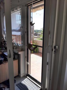 Foto - Gemütliche Singlewohnung in MünsterRoxel