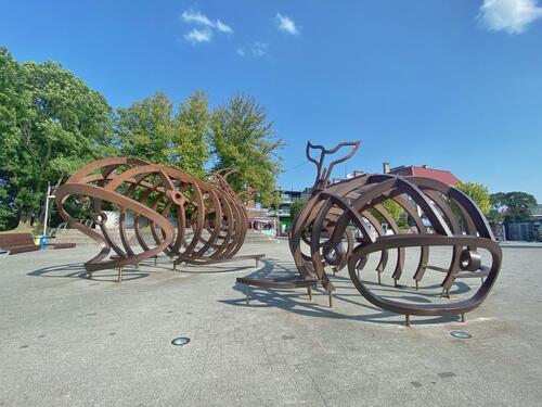 Foto - andere in Potsdam