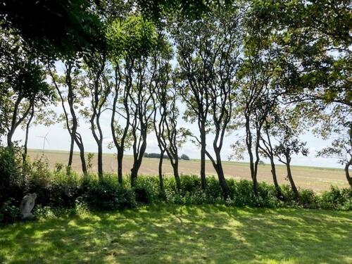 Foto - 2.5 Zimmer andere zur Miete in Klanxbüll