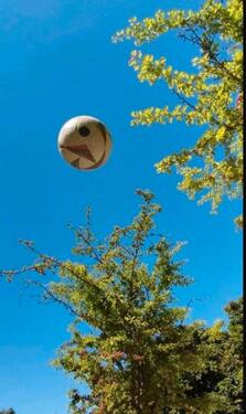 Foto - FreizeitgrundstückWaldGartenfläche 97993 Creglingen