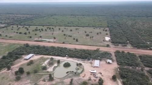 Foto - GROSSGRUNDSTÜCK IM ALTO PARAGUAY 31677 Hektar.