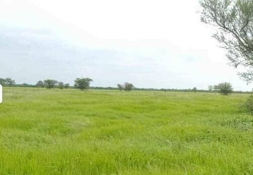 Foto - andere zur Miete in Germering