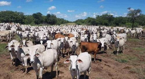 Foto - andere in Germering