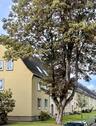 Foto - Gemütliche 3 Zimmer Wohnung ohne Provision zu verkaufen