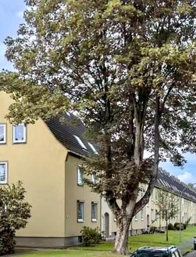 Foto - Gemütliche 3 Zimmer Wohnung ohne Provision zu verkaufen