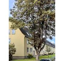 Gemütliche 3 Zimmer Wohnung ohne Provision zu verkaufen - Wilhelmshaven Fedderwardergroden