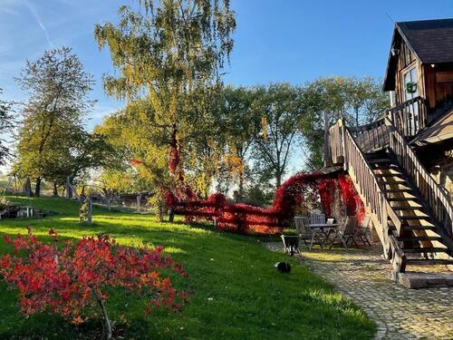 Foto - Einfamilienhaus in Bad Lauterberg im Harz