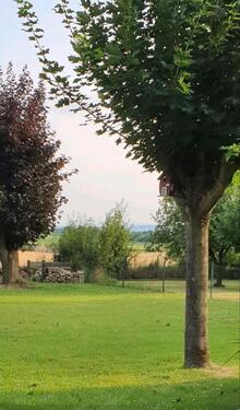 Foto - 3 Zimmer Erdgeschoßwohnung zur Miete in Cremlingen