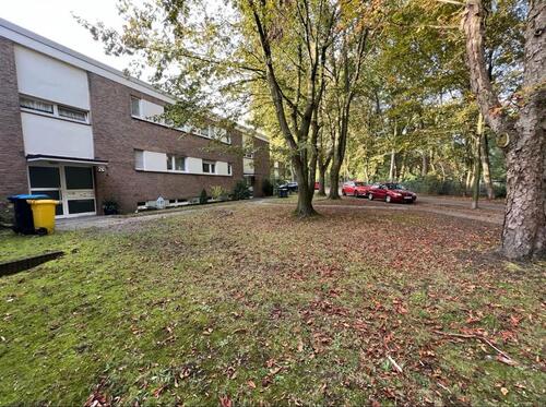Foto - 2.5 Zimmer Erdgeschoßwohnung zur Miete in Gelsenkirchen