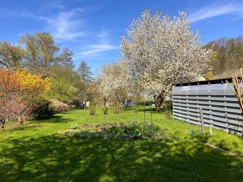Foto - Einfamilienhaus in Hartha zum Kaufen