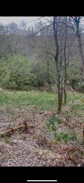 Foto - Grundstück zur Miete in Schlangenbad