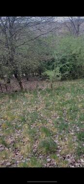 Foto - Grundstück in Schlangenbad zur Miete