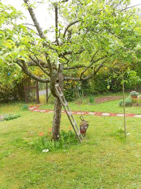 Foto - Grundst&uuml;ck zur Miete in Stuttgart