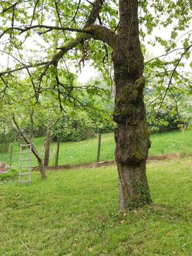 Foto - Grundst&uuml;ck in Stuttgart zur Miete