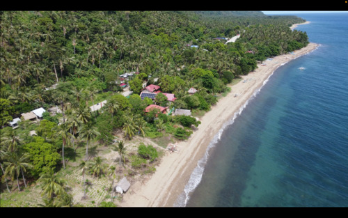 Foto - andere in Bremerhaven