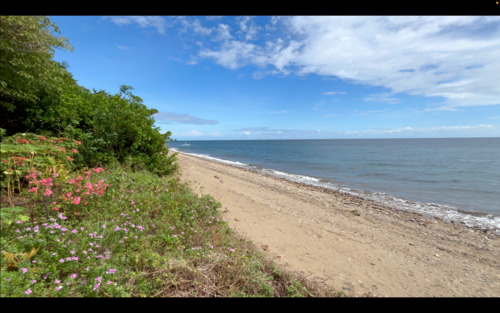 Foto - andere in Bremerhaven zur Miete