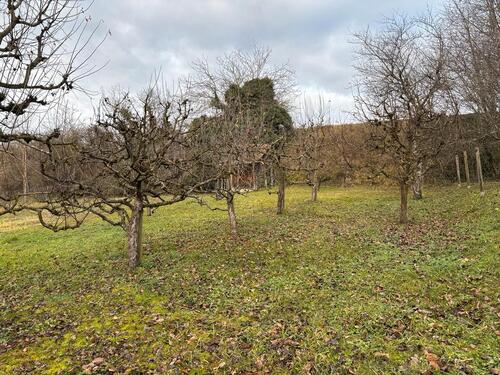 Foto - Grundst&uuml;ck in Kippenheim