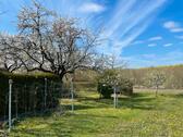 Foto - Grundst&uuml;ck in Arnstein