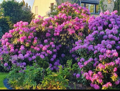 Foto - Doppelhaus mit 1220m² Grundstück Tiefgarage Klinkerfassade