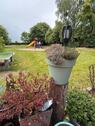 Foto - 6 Zimmer Etagenwohnung in Wermsdorf