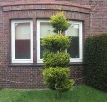 Erdgeschosswohnung 2 Zimmer - zentrumsnah in Wittmund