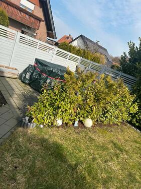 Foto - 5 Zimmer Doppelhaushälfte zum Kaufen in Kirchlengern