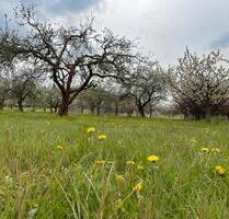 Stellplatz Wohnwagen, Trailer, Boot, Anhönger - Werder (Havel)