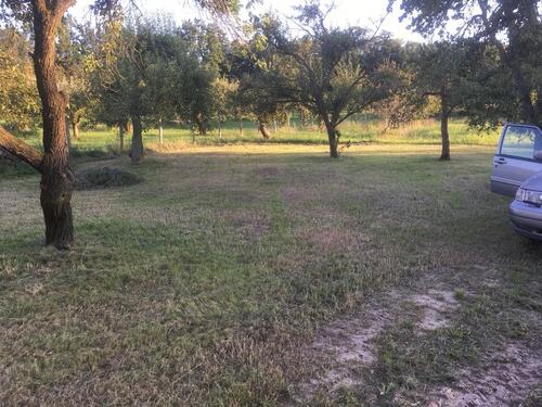 Foto - andere zur Miete in Werder (Havel)