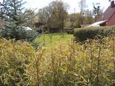 Foto - Grundst&uuml;ck in Kleinmachnow
