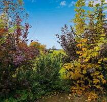 Mietwohnungen in Korswandt 2 Zimmer