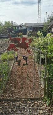 Foto - Grundstück zur Miete in Rostock