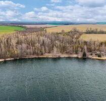 2,7 ha Wald am Kretzschauer See - Zeitz