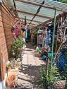 Foto - 3 Zimmer Bungalow zum Kaufen in Coswig (Anhalt)