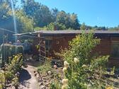 Foto - 3 Zimmer Bungalow in Coswig (Anhalt)