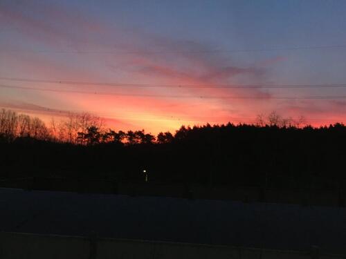 Foto - Helle 2 Zimmer Wohnung in Finow