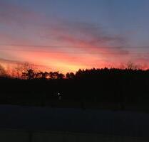 Helle 2 Zimmer Wohnung in Finow - Eberswalde Brandenburgisches Viertel