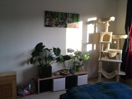 Foto - 2 Zimmer Etagenwohnung in Eberswalde