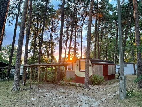 Foto - Einfamilienhaus in Märkische Heide zum Kaufen