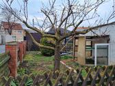 Foto - Einfamilienhaus in Seegebiet Mansfelder Land zum Kaufen