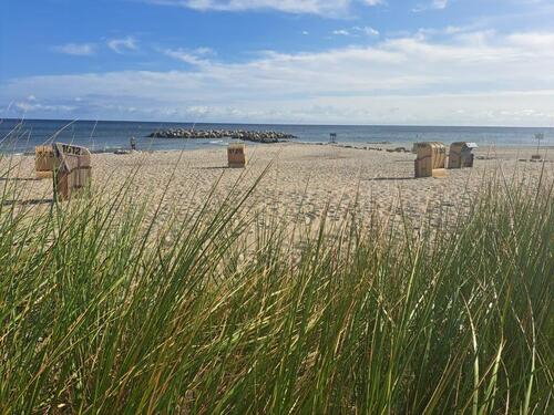 Foto - Last Minute Ostseeurlaub Ferienwohnung Holm Schönberg Kalifornien