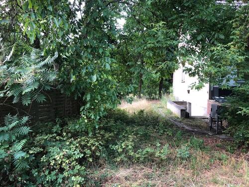 Foto - 7 Zimmer Einfamilienhaus in Werder (Havel)