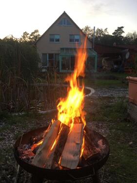 Foto - 8 Zimmer Einfamilienhaus zum Kaufen in Falkensee