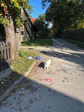 Foto - andere zur Miete in Velden