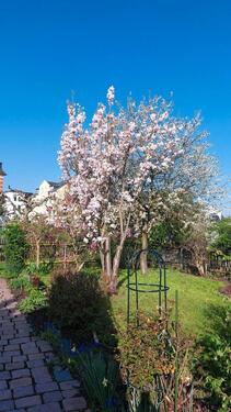 Foto - Pachtgarten in Plauen - 800,00&nbsp;EUR Kaltmiete, ca.&nbsp; 0,00&nbsp;m&sup2;